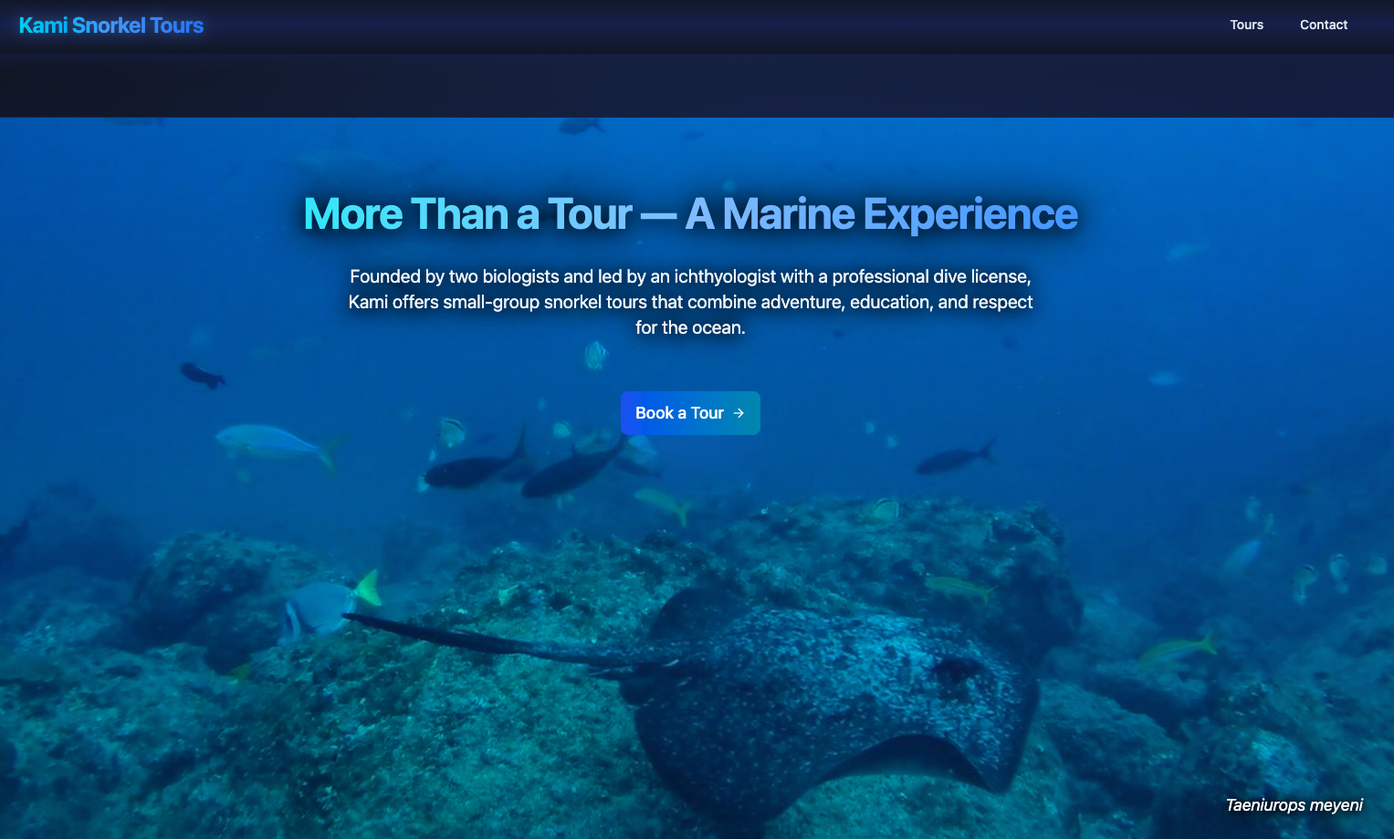 Kami Snorkel Tours website